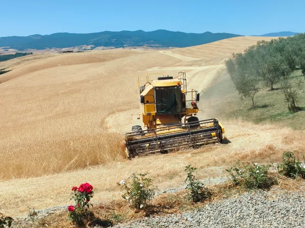 Birrificio Agricolo Poggio Rosso — Branding e Sito Web